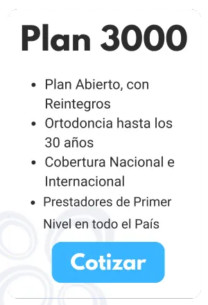 plan3000
